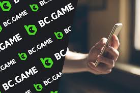 Как осуществить вход в BC Game Полное руководство 1782944813
