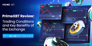 Discover the Power of Trading with PrimeXBT Online Trading Platform Discover the Power of Trading with PrimeXBT Online Trading Platform
